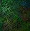 fractavibes | generative art